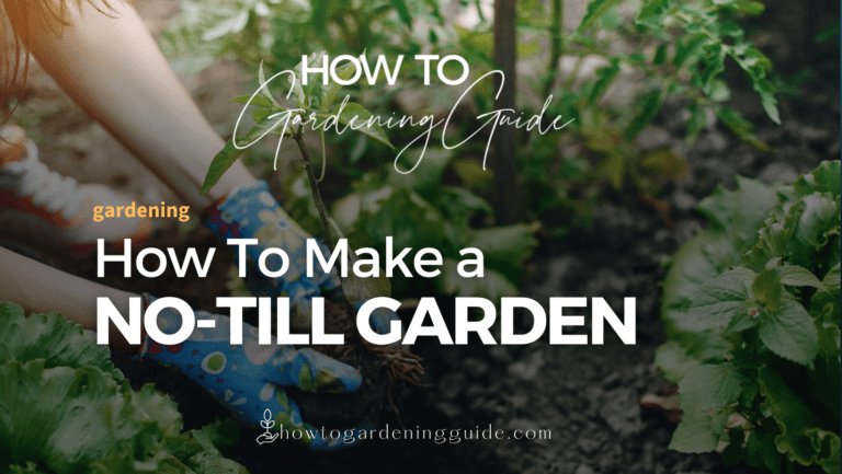 How To Make A No-Till Garden Bed